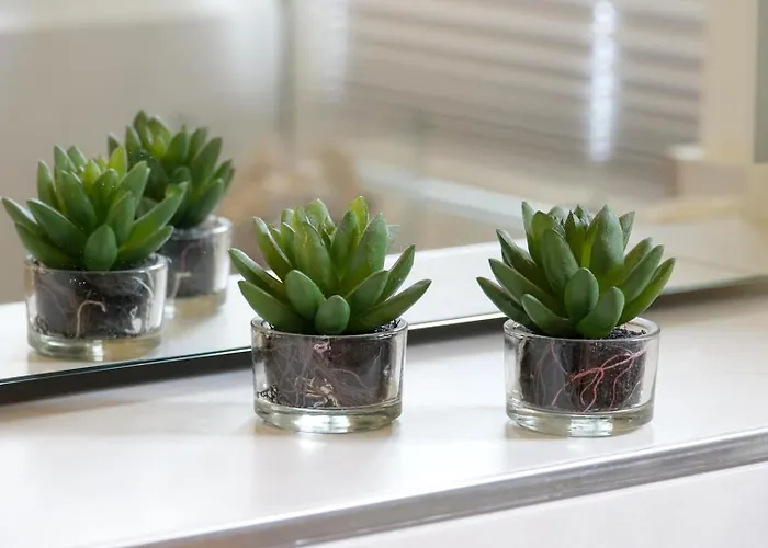 Viktoria Residenz Lejlighed Vesterland